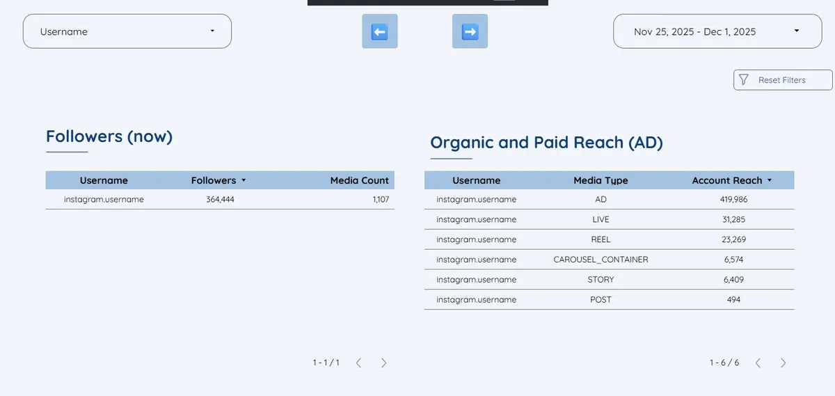 Complete Instagram Organic Monitor