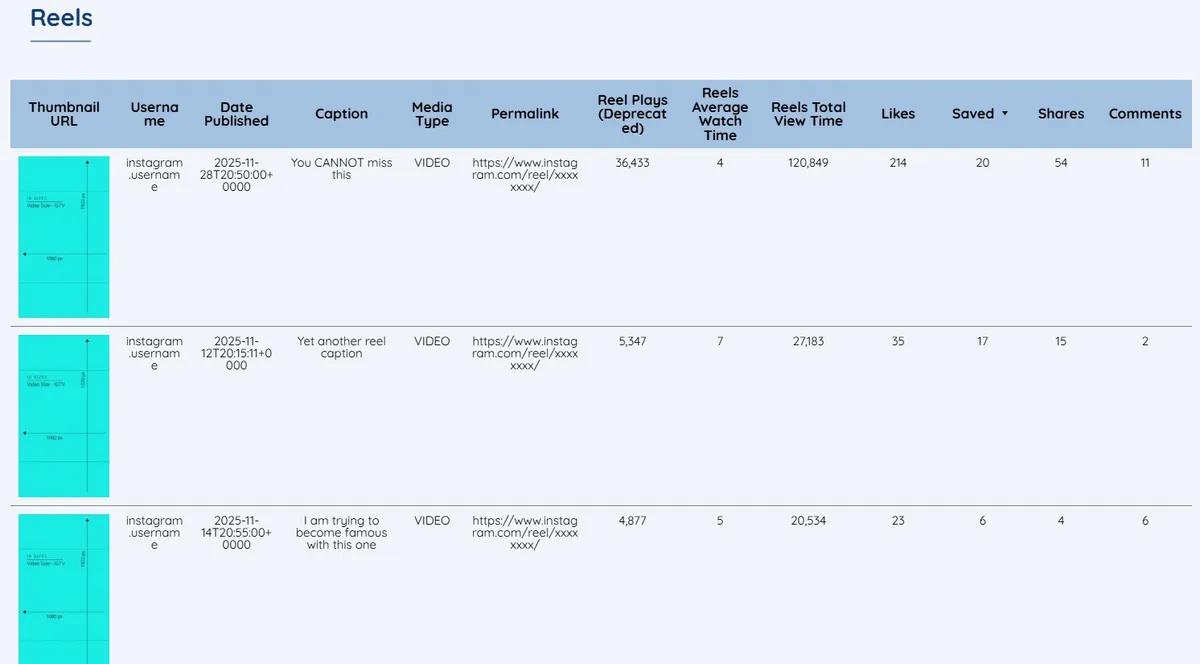 Complete Instagram Organic Monitor - view 3