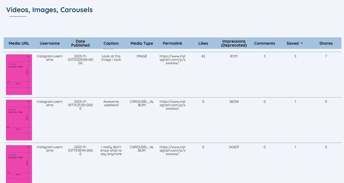 Complete Instagram Organic Monitor - view 4